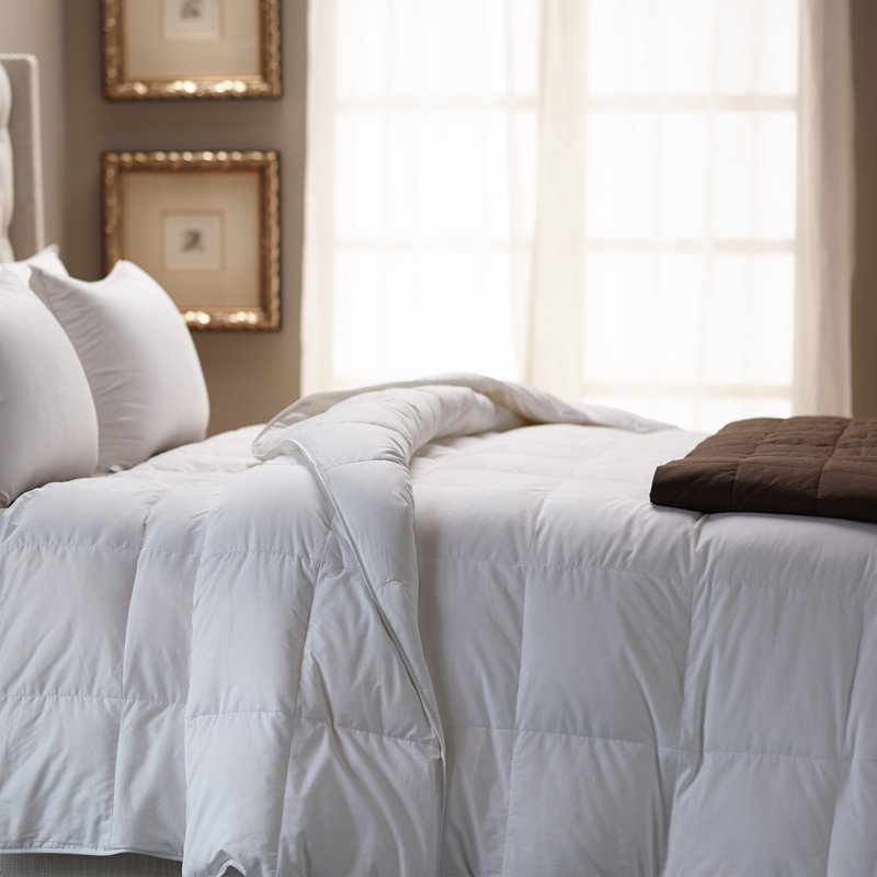 Down Inc. Savannah Lightweight Down Alternative Comforter & Reviews Wayfair